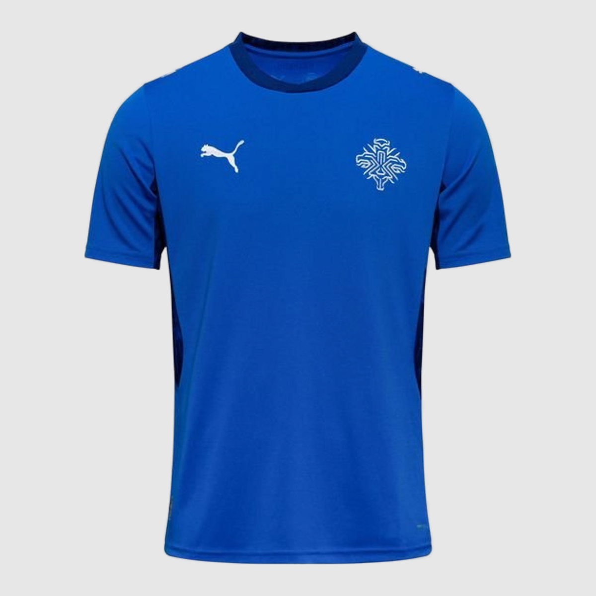 Home 26/27 Men's Shirt