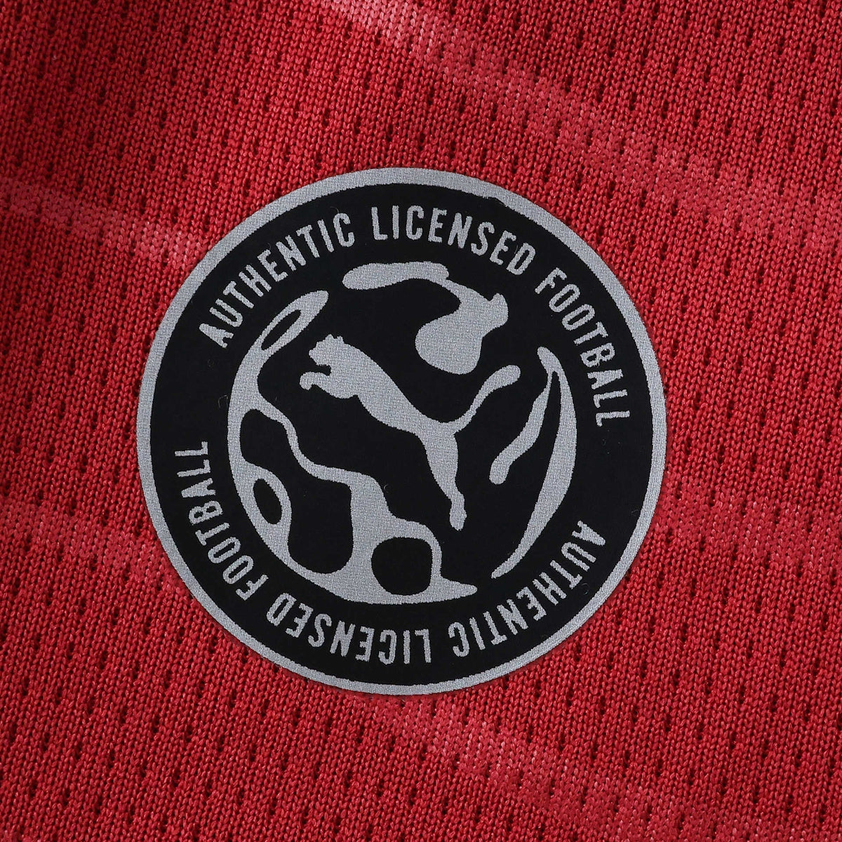 Home 26/27 Men's Shirt