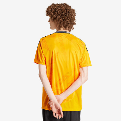 Away 24/25 Men's Shirt